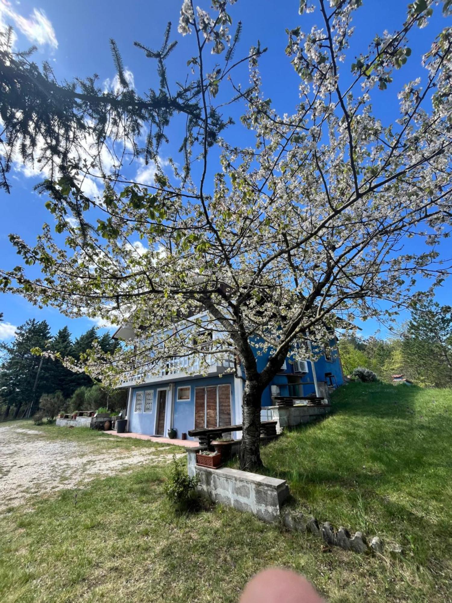 Chalet Ricciano Foligno Exterior foto