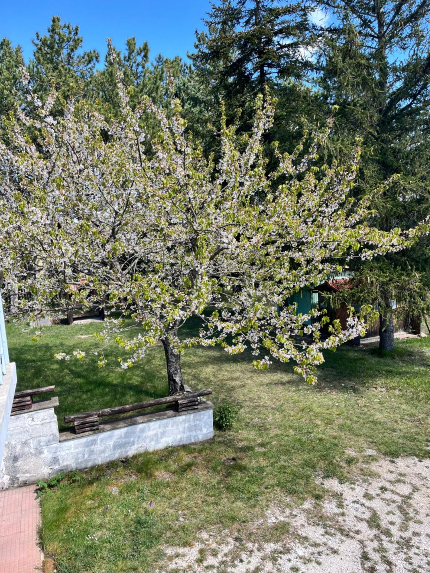 Chalet Ricciano Foligno Exterior foto